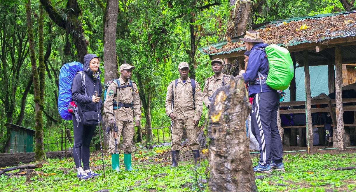 Tailored safari journey across East Africa