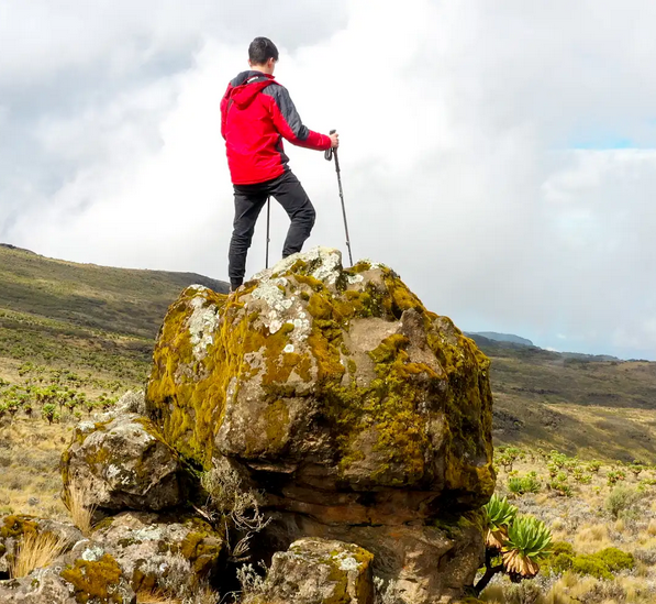 Private East African safari with Curated Wild Safaris