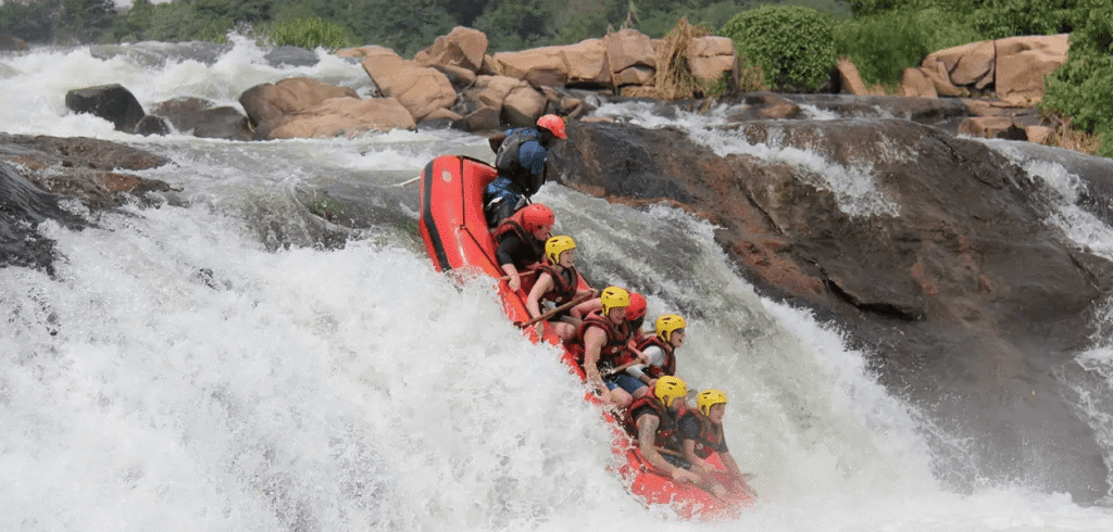 Boat Safaris