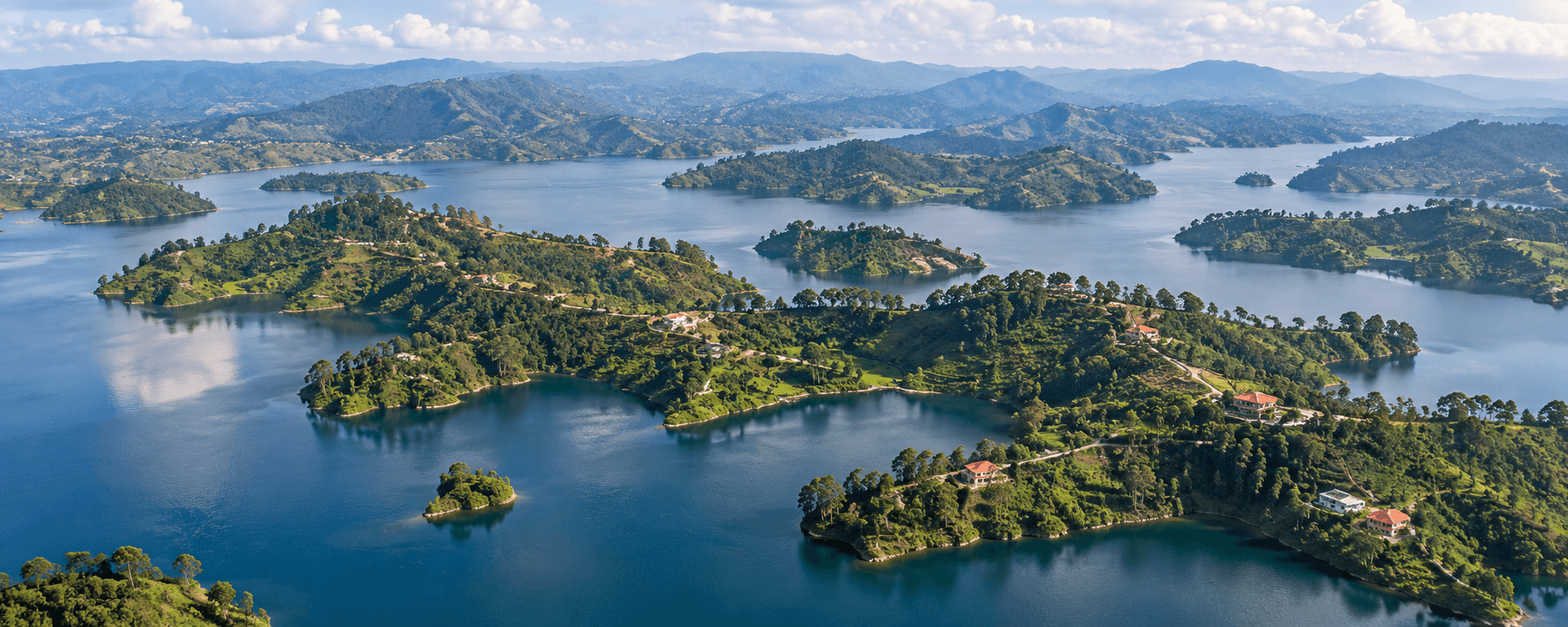 Best Time to Visit Rwanda for Safari