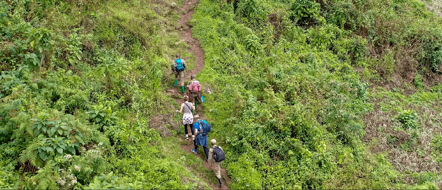 Curated Wild Safaris journey through East Africa