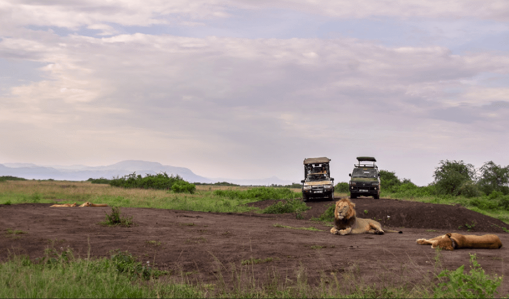 Queen Elizabeth National Park