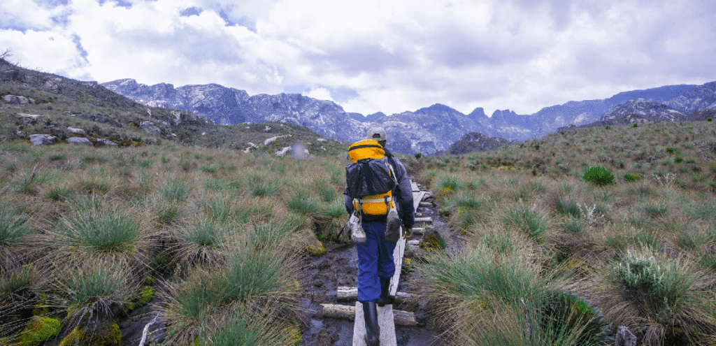 Rwenzori Mountains National Park